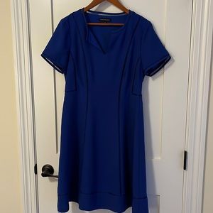 Banana Republic Royal Blue Fit and Flare Dress